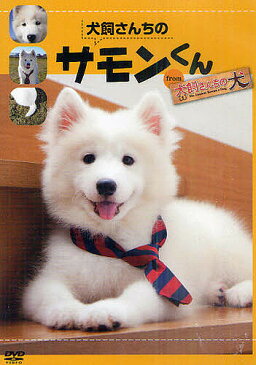 DVD　犬飼さんちのサモンくん　from【1000円以上送料無料】