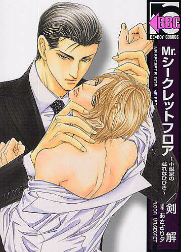 【送料無料】Mr.シークレットフロア〜小説家の戯れな／剣解／あさぎり夕