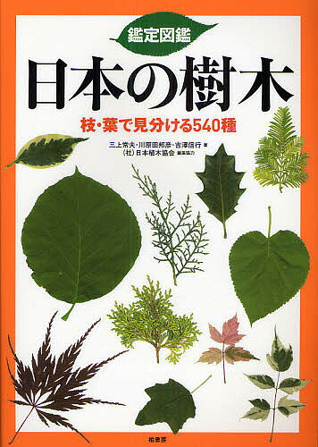 鑑定図鑑日本の樹木 枝・葉で見分ける540種／三上常夫【1000円以上送料無料】