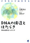 DNAの構造とはたらき イラストで科学する DNA図書館へようこそ／羽馬有紗【1000円以上送料無料】