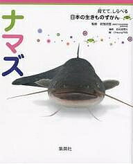 【送料無料】ナマズ／若田部美行／CheungME