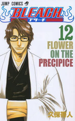 BLEACH 12／久保帯人【1000円以上送料無料】
