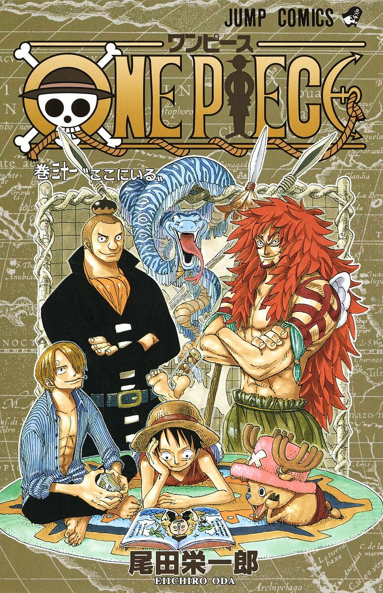 ONE PIECE 巻31／尾田栄一郎【1000円以上送料無料】