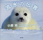 流氷の伝言 アザラシの赤ちゃんが教える地球温暖化のシグナル／小原玲【1000円以上送料無料】