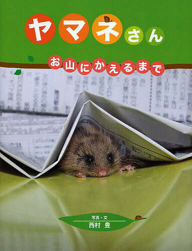【送料無料】ヤマネさん お山にかえるまで／西村豊