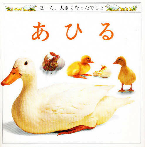 【送料無料】あひる／アンジェラ ロイストン／バーリィ ワッツ／山口文生／子供／絵本