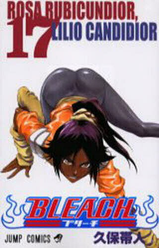 BLEACH 17／久保帯人【1000円以上送料無料】