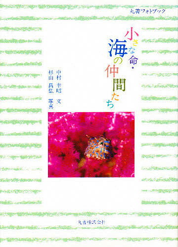 【送料無料】小さな命・海の仲間たち／中村幸昭／杉山昌弘