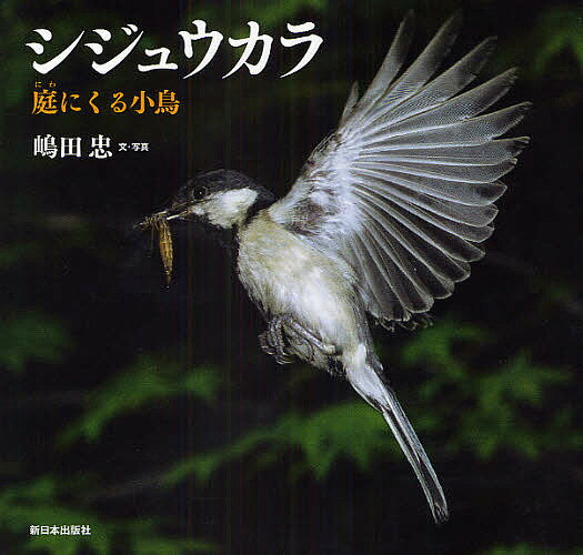 著者嶋田忠(著)出版社新日本出版社発売日2009年02月ISBN9784406052054ページ数〔32P〕キーワードえほん 絵本 プレゼント ギフト 誕生日 子供 クリスマス 子ども こども しじゆうからにわにくることりにほんの シジユウカラニワニクルコトリニホンノ しまだ ただし シマダ タダシ9784406052054