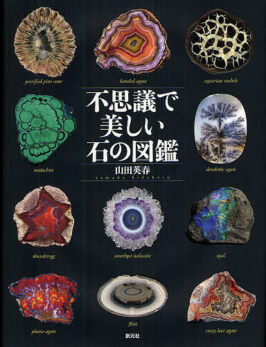 【送料無料】不思議で美しい石の図鑑／山田英春