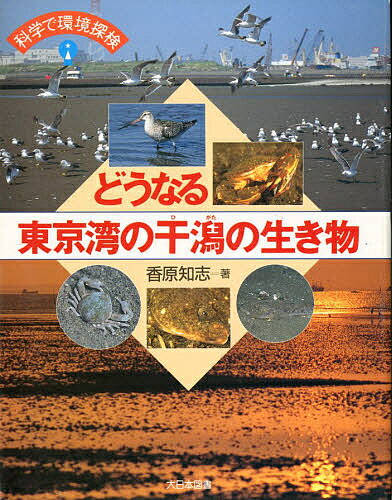 【送料無料】科学で環境探検 どうなる東京湾の干潟の生き物／香原知志