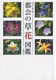 都会の草花図鑑／秋山久美子【1000円以上送料無料】