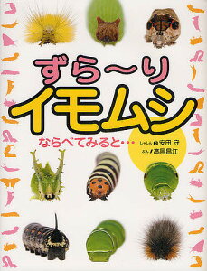ずら〜りイモムシならべてみると…/安田守しゃしん高岡昌江/子供/絵本【1000円以上送料無料】