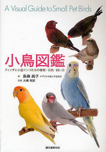 小鳥図鑑 フィンチと小型インコたちの種類・羽色・飼い方/島森尚子/大橋和宏【1000円以上送料無料】