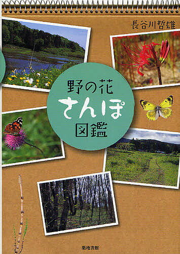 【送料無料】野の花さんぽ図鑑／長谷川哲雄