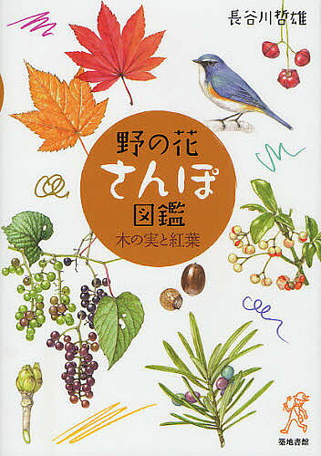 【送料無料】野の花さんぽ図鑑 木の実と紅葉／長谷川哲雄