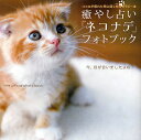 癒し占い「ネコナデ」フォトブック【1000円以上送料無料】