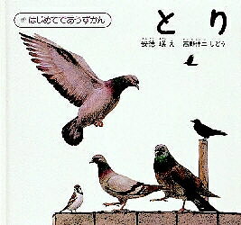 はじめてであうずかん 3／安徳瑛／高野伸二／子供／絵本【1000円以上送料無料】