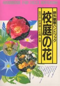 【送料無料】校庭の花／並河治