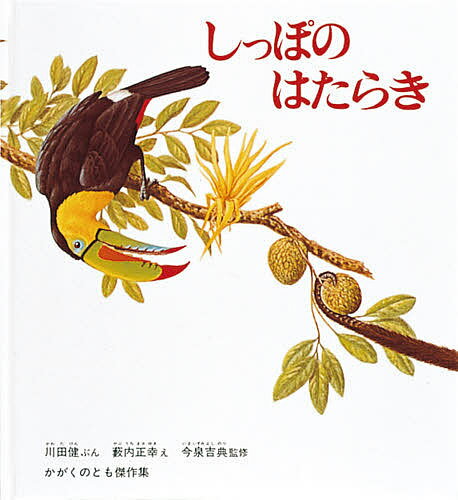 しっぱのはたらき＜大型本＞／川田健／薮内正幸／今泉吉典【1000円以上送料無料】