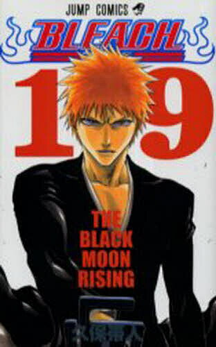 BLEACH 19／久保帯人【1000円以上送料無料】