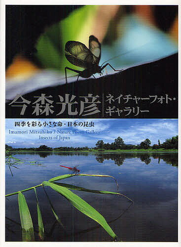 今森光彦ネイチャーフォト・ギャラリー 四季を彩る小さな命・日本の昆虫／今森光彦【1000円以上送料無料】