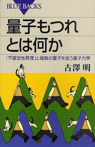 量子もつれとは何か 「不確定性原理」と複数の量子を扱う量子力学／古澤明【1000円以上送料無料】