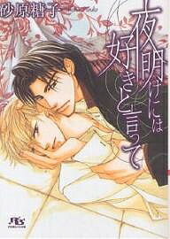 【送料無料】夜明けには好きと言って／砂原糖子