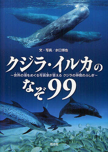 【送料無料】クジラ・イルカのなぞ99 世界の海をめぐる写真家が答えるクジラの仲間のふしぎ／水口博也