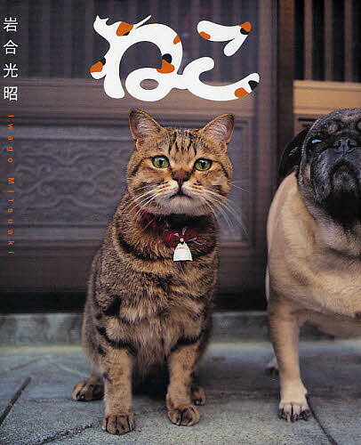 ねこ／岩合光昭【1000円以上送料無料】
