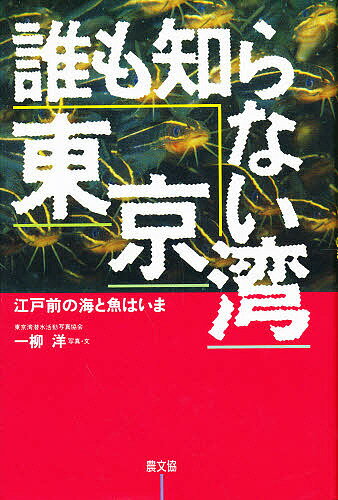 誰も知らない東京湾 江戸前の海と魚はいま／一柳洋【1000円以上送料無料】