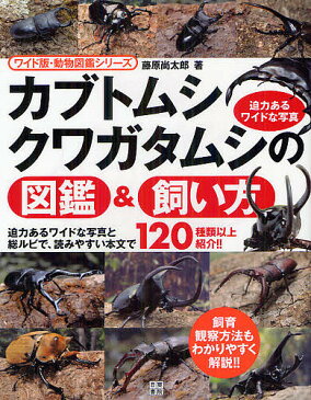 カブトムシ・クワガタムシの図鑑＆飼い方／藤原尚太郎【1000円以上送料無料】