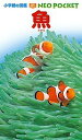 魚/井田斉/・執筆朝日田卓【1000円以上送料無料】