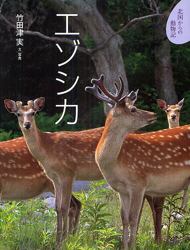 【送料無料】エゾシカ／竹田津実／子供／絵本