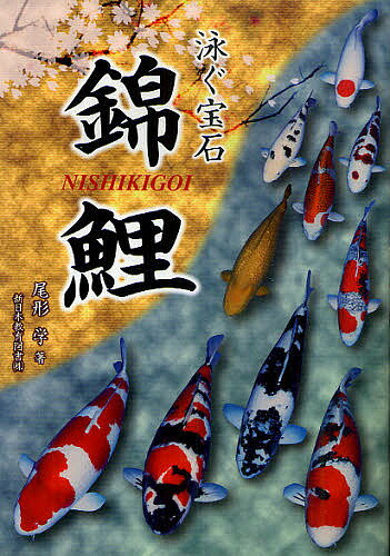 【送料無料】泳ぐ宝石錦鯉／尾形学