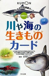 川や海の生きものカード 第2版／子供／絵本【1000円以上送料無料】