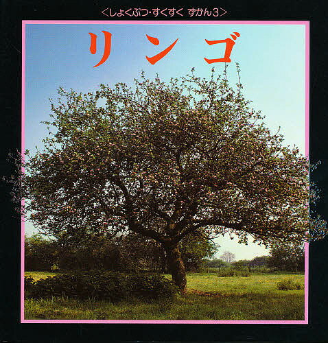 著者バーリィ・ワッツ(著) 舟木秋子(訳)出版社評論社発売日1992年10月ISBN9784566004948ページ数24Pキーワードプレゼント ギフト 誕生日 子供 クリスマス 子ども こども りんごしよくぶつすくすくずかん3 リンゴシヨ...