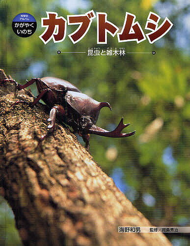 ※商品画像はイメージや仮デザインが含まれている場合があります。帯の有無など実際と異なる場合があります。著者海野和男(著) 岡島秀治(監修)出版社あかね書房発売日2010年03月ISBN9784251067012ページ数63Pキーワードプレゼント ギフト 誕生日 子供 クリスマス 子ども こども かぶとむしこんちゆうとぞうきばやしかがくのあるばむ カブトムシコンチユウトゾウキバヤシカガクノアルバム うんの かずお おかじま しゆ ウンノ カズオ オカジマ シユ9784251067012