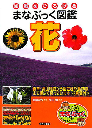 花／平田信【1000円以上送料無料】
