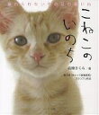 こねこのいのち 忘れられない冬の日の思い出/高橋さくら【1000円以上送料無料】
