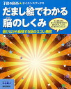 だまし絵でわかる脳のしくみ 遊びながら体験する脳のスゴい機能／竹内龍人【1000円以上送料無料】