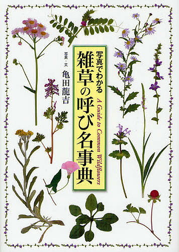 雑草の呼び名事典 写真でわかる／亀田龍吉【1000円以上送料無料】のサムネイル