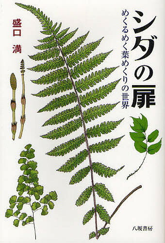 シダの扉 めくるめく葉めくりの世界／盛口満【1000円以上送料無料】
