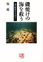 磯焼けの海を救う 海の医者のエコロジー/境一郎【1000円以上送料無料】