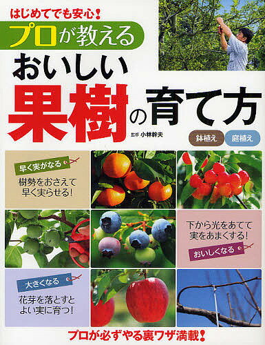 楽天市場】鉢植え 果樹 栽培(本・雑誌・コミック)の通販 楽天市場】鉢植え 果樹 栽培(本・雑誌・コミック)の通販