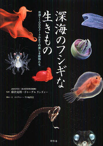 深海のフシギな生きもの 水深11000メートルまでの美しき魔物たち