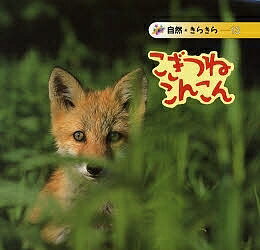 こぎつねこんこん／今津秀雄【1000円以上送料無料】のサムネイル