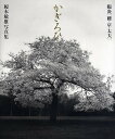 かぎろひ 陽炎〈桜・京・太夫〉 榎本敏雄写真集／榎本敏雄【1000円以上送料無料】