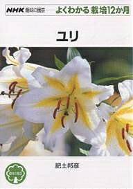 【送料無料】ユリ／肥土邦彦