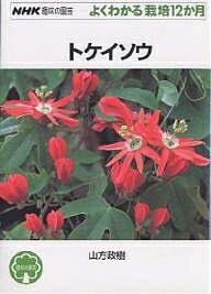 トケイソウ／山方政樹【1000円以上送料無料】